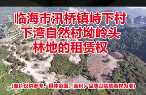 临海市汛桥镇峙下村下湾自然村坳岭头林地的租赁权